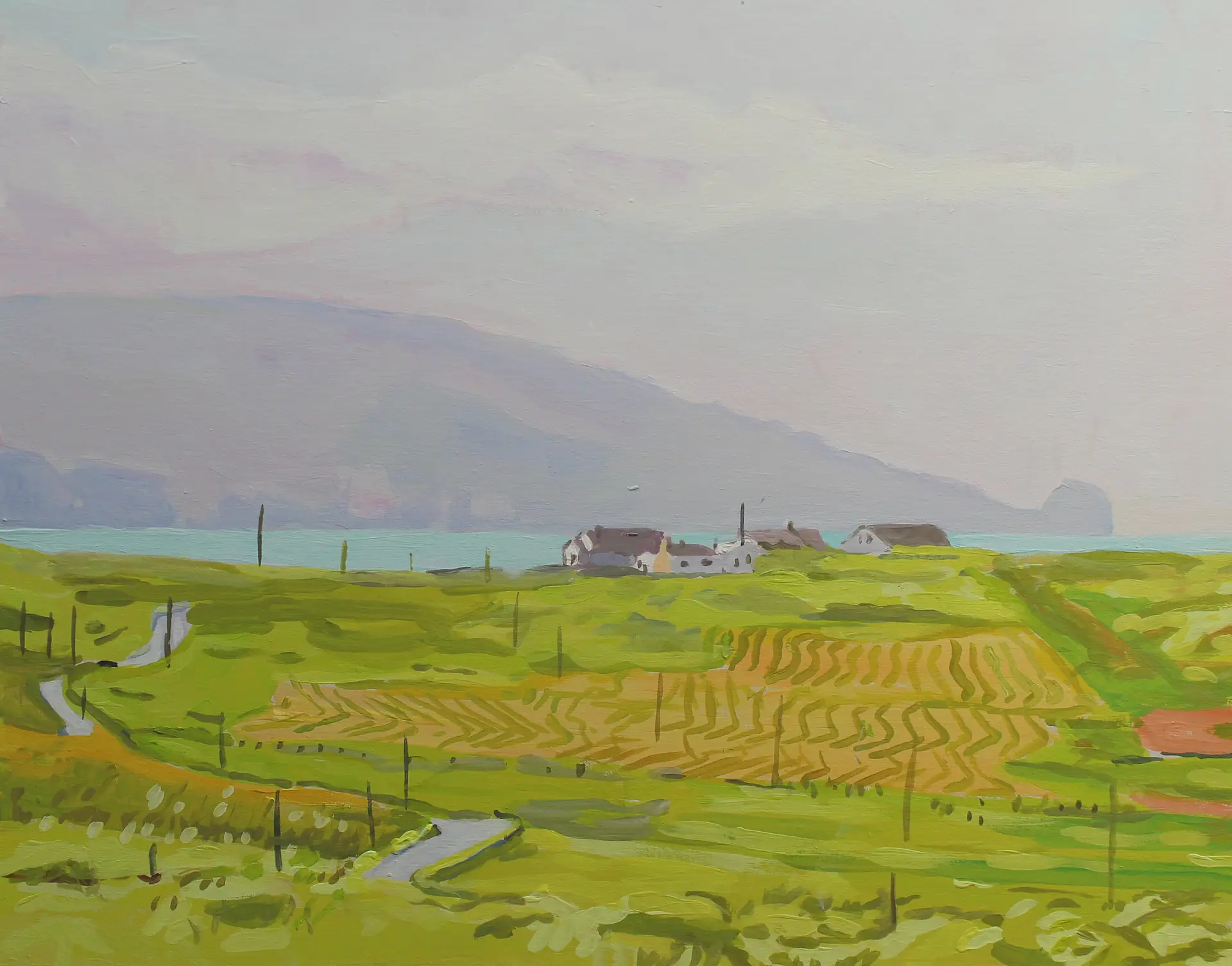 Patterned Fields, Rossbeg by Emma Cownie